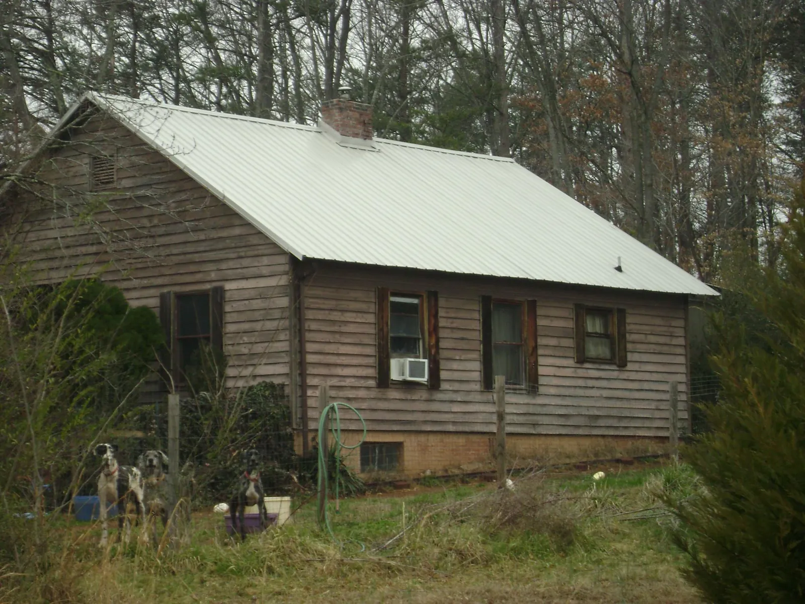 White metal roof on an old wood sided farmhouse, from a Asphalt Shingle Roof Repair job in West Haven